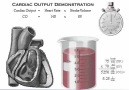 Understanding the concept of ...... Cardiac Output Stroke Volume X Heart Rate