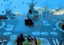 - Underwater breakfast in the Maldives ...