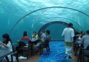 UnderWater Restaurant In Hurawalhi Island Maldives