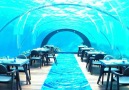 Underwater Restaurant In Hurawalhi Maldives - Tag Friends