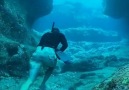 Underwater rock running In Hawaii - Houari Sahnine Pescador