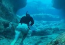 Underwater rock running In Hawaii - Houari Sahnine Pescador