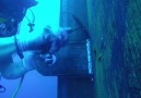 Underwater welding