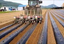 Une publication de Agriculture Technologies le 22 novembre 2018