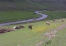 Une publication de Ardahan Ailesi le 12 septembre 2018