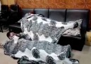 Une publication de Güzel her zaman güzeldir le 5 fvrier 2016