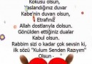 Une publication de Namaz AŞKI le 17 janvier