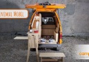 Une vraie tiny home sur roues Körmi Körmet & Marie Bühler