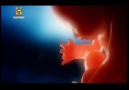 UNEXPLAINED MYSTERIES - 2