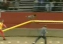 UN FENOMENO CANINO