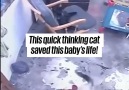 UNILAD - Cat Saves Baby From Falling Down Stairs Facebook