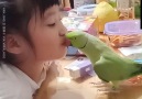 UNILAD - Little Girl And Parrot Are The Best Of Friends Facebook