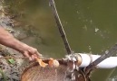 Unique Fishing Trapp To Catch Country Fish CreditAroundMeBD (goo.glp6NZgv)