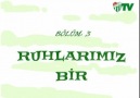 Unitimsah - Bölüm 3: Ruhlarımız Bir [Timsah Arena]