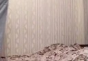 Üniversite&eve gelince
