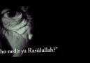 Unutmadık: Srebrenitsa Katliamının 20. Acı Yılı