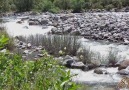 UNUTMAK KOLAYMI SEVDİĞİM SENİ UNUTMAK KOLAYSA GELDE SEN UNUT