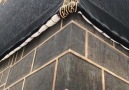 Up close to the Rukn al Yamani & the Kabah