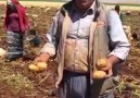Urfalı çiftçi Mahmut Keskinli