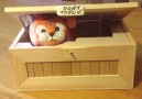 Useless Box: Baby Tiger Edition