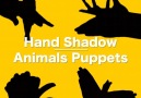 Use your hands to make animals shadows and amuse your little ones tonight