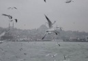 Üsküdar Vapurundan