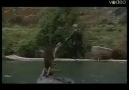 USTAYIM DİYEN BALIKÇILARA İTHAF OLUNUR, USTA KİMMİŞ BAKI...