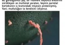 Utanır insan böyle güzel yürünür müBize de bekleriz yatıya gel hatta