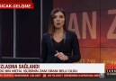 Uysal Altundağ - Basında zaferimiz...