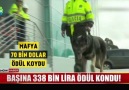 Uyuşturucu mafyası onun peşinde!