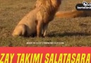 Uzay takımı Galatasaray