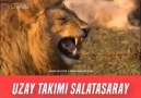 Uzay takımı salatasaray