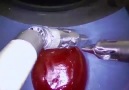 Üzüm Kabuğuna Dikiş Atan Robot