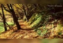 Uzun hava gel halimi sorma bana