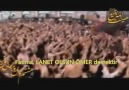 Vahdetçi Şia İran’da Hz. Ömer’e lanet töreni videosu!