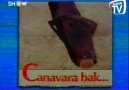 Van Gölü Canavarı Efsanesi (1997)