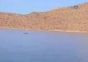 Vangölü Canavarını gören Bitlis Tatvanlı hemşerilerimiz olmuş...