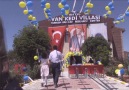 Van kedileri için özel havuz