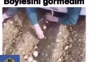 VARMI BÖYLE PATETES TOLAMA