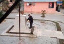 Varol Dedem