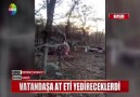 Vatandaşa at eti yedireceklerdi