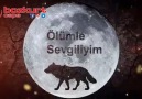 Vatan İçin Ölmekse Ölümle Sevgiliyim