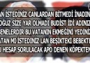 VATAN MI İSTEDİNİZ LAN BEŞİKTEKİ BEBEKTEN ?