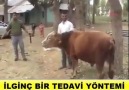 Vay Be ! Adam İşini HAKKIYLA YAPTI !