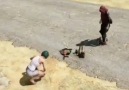 Vay be adam PUBG&dilencilik yapıyor zabıta gelmese bari