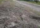 Vdeo del accidente areo ocurrido hoy en la Pista de Rubelsanto.