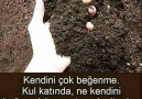 Ve Ben Hiç Dilek TutmadımHep Dua Ettim... - Hz.Mevlna İlhi Aşk