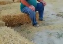 Ve gün geçmiyorki taşpınarda yaşanan... - BALAK 68 Taspınar Kasabası