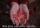 ..Ve hazan başlamıştır .....Eylüldür ya... - Kırgınım Hayat Sana