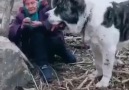 Ve insan&- Bir Köpeğin Dostluğu Bir Dostun Köpekliğinden...